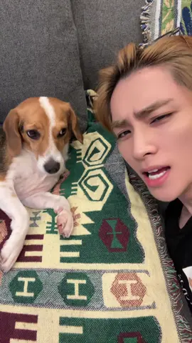 #xiaojun #肖俊 #샤오쥔 #bella