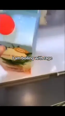 She done lost her mind😭😭😂😂#crazy#fyp#crashout