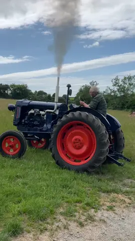 What an absolute beauty 😍 #tractor #fordtractor #agriculture #farmlife #wellness #naturalhealing 