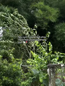 nếu cuối cùng là hạnh phúc muộn một chút cũng không sao 🍀