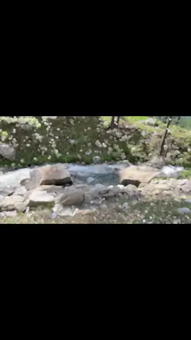 Watch till end ♥️ #kumrat_valley #kumrat #kumrat_valley_kpk_pakistan #kumrat_valley #pakistan #waterfall #pakistani #loveplace #PlacesToVisit #travel #traveltiktok 