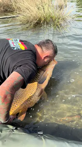 E liniștea de după haos, când știi că a meritat🎣🥰 #orellana #spania #carpfishinglife #allseasons #bigcarpromania🇷🇴 