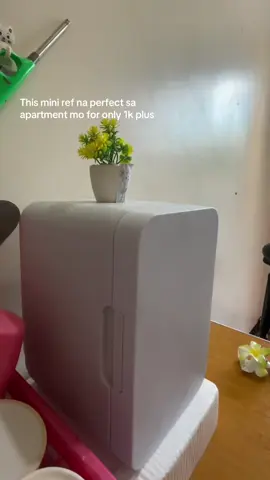 Mini ref for room or dorm #minirefrigrator #miniref #studentlife #ref #fyppppppppppppppppppppppp #everyone 