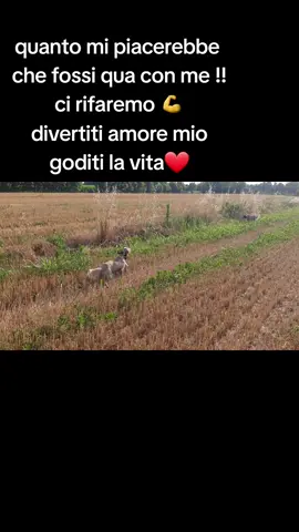 #amore #passione #spenzieratezza #