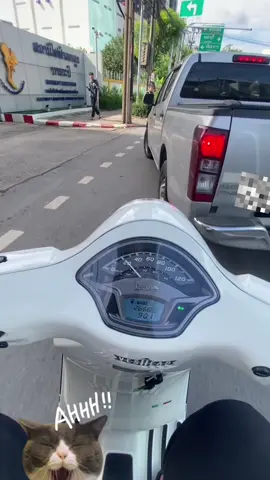 สุดในรุ่น 555555 #Vespa #เวสป้าดิว่ะ🛵 #เธอโผล่มาจากไหนฉันก็ไม่รู้ #เวสป้า #vespalx 