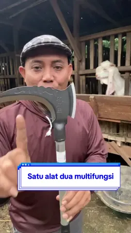 Satu alat dua multifungsi sabit serbaguna#satualatsejutamanfaat #sabit #arit #aritserbaguna #sabitkapak #sabitkebun #petanimuda #peternakmuda #sobatngaret 