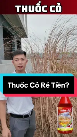 So sánh dòng thuốc cỏ RẺ TIỀN với THIÊN LÔI 