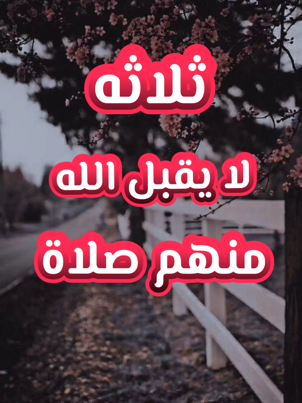 ثلاثه لا يقبل الله منهم صلاة #كبار_العلماء #صالح_الفوزان #الشيخ_صالح_الفوزان #الصلاة #ليبيا #طرابلس #مصراته #يارب_فوضت_امري_اليك #اللهم_صلي_على_نبينا_محمد #مكه_المكرمه #العراق #السعودية #اليمن #الجزائر #تونس #زليتن #طبرق #السودان #ترند #ترند_تيك_توك 