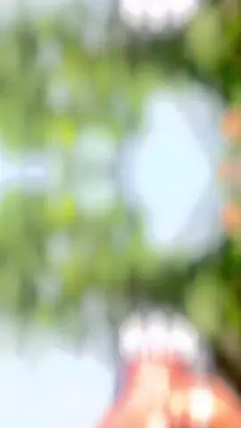 New music ማማ ትፍቶ out soon 💥 @Henz Zavi ft sheff natu @Cross BeatX @Leul Mosey #osd #tgraytiktok #newchallenge #viral_video #ethiopian_tik_tok🇪🇹🇪🇹🇪🇹🇪🇹 #hiphop #fyp 