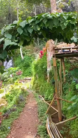 Curug cikurutug Cianjur selatan