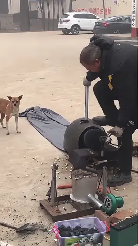 The dog’s soul just left his body👻#dog #dogs #dogsoftiktok #fyp #funny #funnyvideos #funnytiktok #foryou 