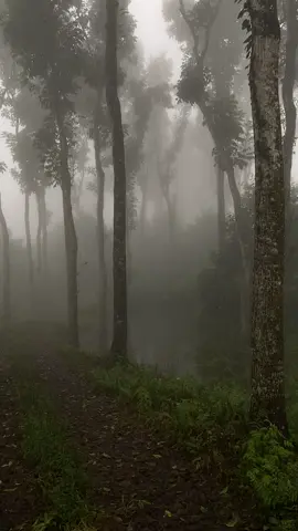 uda mulai musim hujan