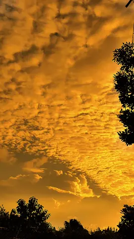 في صمتي هذا، هناك شوقٌ لا يُفصحُ عنه 