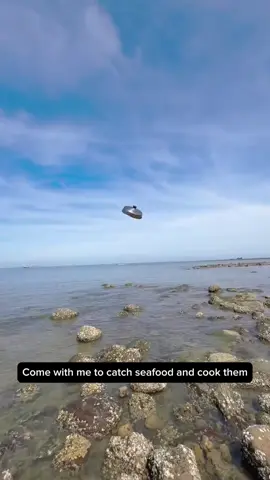 If you like seafood, come with me #Fyp #sealife #seacreatures #seafood #oceanlife #marinelife #nature #animals #octopus #stingray