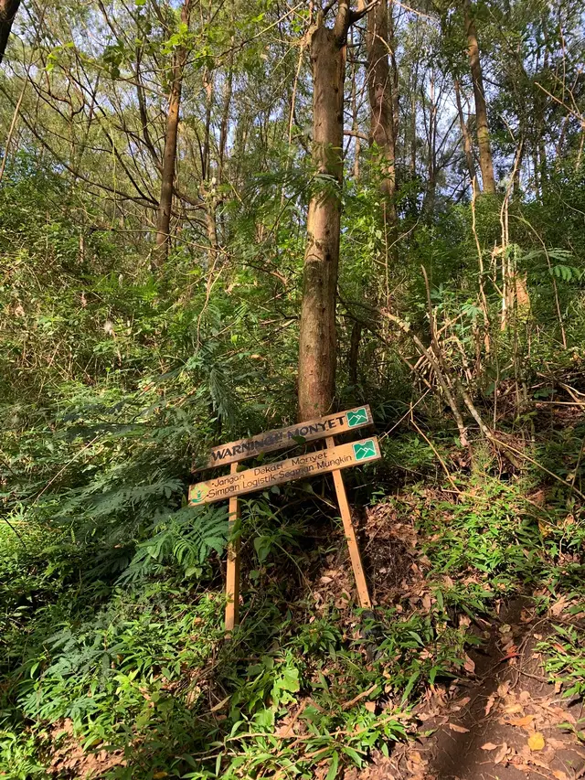 cocok buat pemula yang pengen tektok an, track nya landai definisi nanjak minimal view maksimal🤩 #mtbokong1746mdpl #gunungbokong1746mdpl #gunungbokongbatu #mountain #malang #malanghits #batu #tektok #fyp #fypシ #foryou #xyzbca #pendakigunung #fomo 