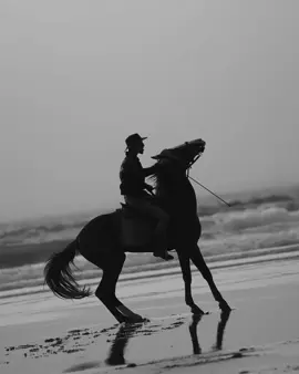 #Lala #ifak33r #fak33r #sigma #inshot #lines #Fyp 