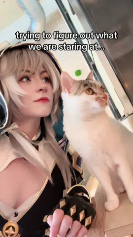 kiwi is locked in 👁️👁️ cars are so funny #cipher #HonkaiStarRail #hsrcosplay #kitty #catcafe #katzentempel #ciphercosplay #honkaistarrailcosplay #hsrcreators #fyppp #meowmeow 