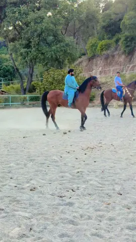 Ch Adil Mehrana & Ch Usman Kharak 🧿🐎🧿🐎#allhmdullilah_for_everything #mashallah #allahuakbar #marhanabrothers #barcelona #royalfalconhorsemanship @Ch Adil Mehrana @Ch Aslam Mehrana @ABDUL REHMAN KHARAK @ROYAL FALCÓN CLUB BARCELONA 