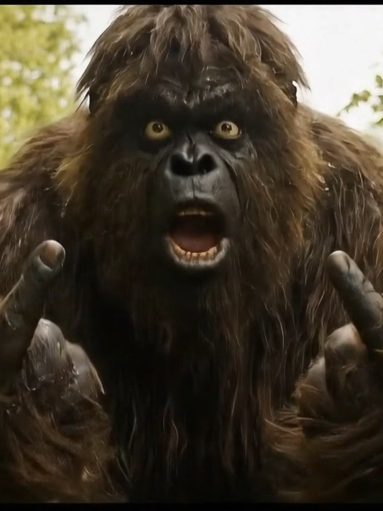 🏃‍♂️💨 Bigfoot rennt für die Wahrheit! Mit letzter Kraft – und einer sehr wichtigen Frage:  „HEUTE SCHON GEKACKT?“ 😂🌲 #BigfootVlog #WaldContent #bigfoot #LäuftBeiMir #ViralHumor #rennen #limit #POVContent #DeutschTikTok #lustigevideos