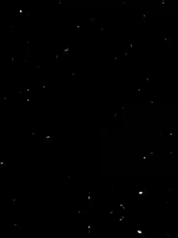 Em là cô gái nhỏ nhắn #xh #nhac #music #nhaclyrics #lyrics