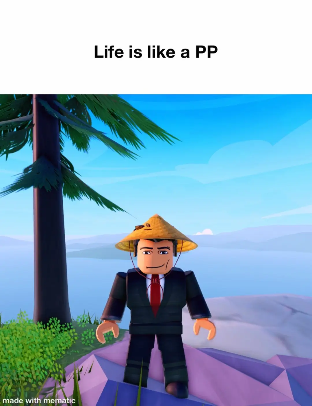 Life is like a PP… #roblox #hopecore #quote #MentalHealth #nature 
