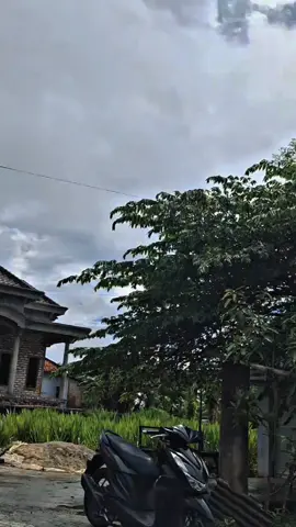 🥶#beatdeluxe#fyppppppppppppppppppppppp#masukberanda#lewatberandafyp#ogahjinjit#CapCut#xybca#4youpage#beatdeluxemodifikasi#4u#beat 