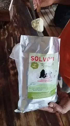 Susu cempe solvor untuk pengganti susu induk #peternakkambing #pemalang #family5 + #peternakkambing #sobatngaret #kambingsanen #kambingetawa #susukambing #kambingperah #kambing #goat #goatmilk #susuetawa #susukambingetawa 