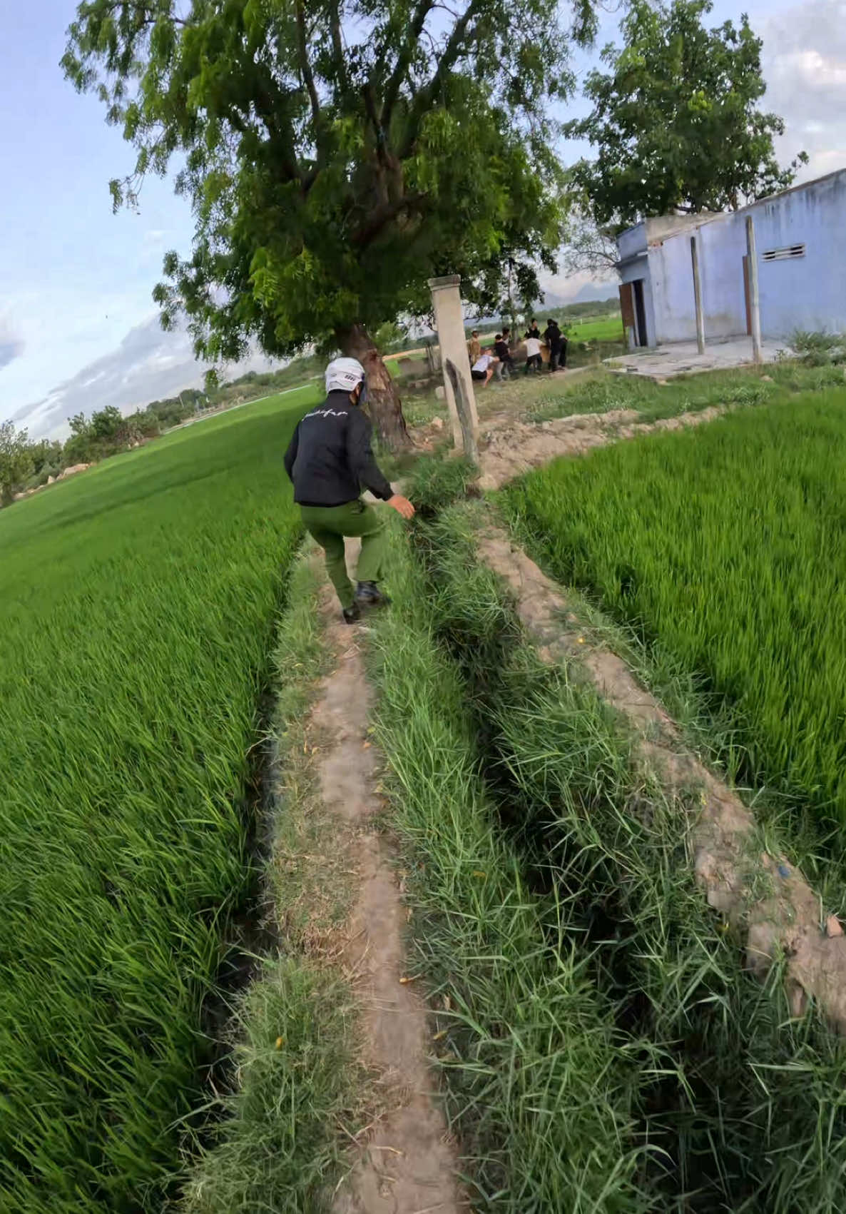 Chào mừng các bạn đến với Phan Rang 😜