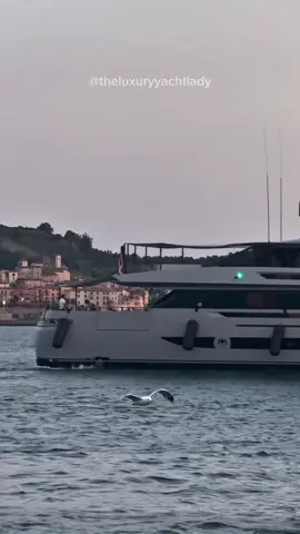 🐻 SPEEDY BEAR IV is a 43.71 m fast #motoryacht built in Italy by Baglietto, freshly launched in 2025 and recently spotted entering #port in style. 🍾 Delivered in 2025, she marks a new chapter in #baglietto ’s celebrated FAST range. #fast50  ✍️ Exteriors by Francesco #paszkowskidesign with interiors by Francesco Paszkowski & Margherita Casprini. 🤩 She boasts a main-deck master suite, two VIP doubles and two convertible singles. Aft, fold-down terraces create an expansive #sunbathıng platform around a forward pool.  💨 Powered by twin #mtu 12V4000 M93L engines, she cruises at 23 kn and hits 27 kn at top speed – a true blend of power and elegance . 🛠📐 Length Overall: 43.71 m | Beam: ~8.3 m | ##aluminiumhull& superstructure, 10 guests in 5 cabins, 7 crew. Gross tonnage: 382 GT. Fuel capacity: 41,000 L with a 700 nm range at 24 kn . #s#speedybearivb#bagliettoyachtf#francescopaszkowskim#margheritacasprinif#fastyachts#superyachtm#megayachtl#luxuryyachty#yachtingy#yachtlifey#yachtspottingy#yachtdesignl#luxurylifestyley#yachtworldb#blex_benedettaiovanet#theluxuryyachtlady