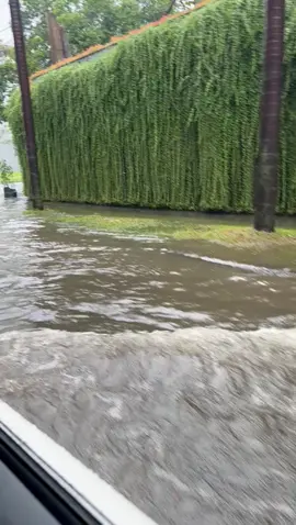 Banjir Menggenangi Perumahan Taman Semanan Indah dan Sekitarnya di Jakarta Barat Hujan deras yang mengguyur Jakarta hari ini, Minggu (6/7/2025) menyebabkan banjir di beberapa wilayah Jakarta Barat, termasuk Perumahan Taman Semanan Indah dan sekitarnya. Banjir ini diperkirakan terjadi akibat curah hujan yang tinggi dan sistem drainase yang tidak mampu menampung debit air yang besar. Banjir ini telah menyebabkan genangan air di beberapa titik di Perumahan Taman Semanan Indah dan sekitarnya, sehingga membuat warga kesulitan untuk beraktivitas. Pihak berwenang telah berupaya untuk menangani situasi ini dengan mengerahkan petugas untuk memantau kondisi banjir dan melakukan upaya evakuasi jika diperlukan. Warga setempat dihimbau untuk tetap waspada dan mengikuti instruksi dari pihak berwenang untuk menghindari risiko yang lebih besar.  Banjir ini menjadi perhatian serius bagi warga Jakarta Barat, dan diharapkan pihak berwenang dapat segera menemukan solusi untuk mengatasi masalah ini. #infobanjir #pantaubanjir #banjirjakartabarat #banjirtsi #hujan #cengkareng #semanan #durikosambi #kalideres #banjir 