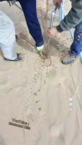 Ambisi negara Cina merubah daerah gurun yang menjadi daerah yang subur  #gurun #China #fyp #reels #pertanian #perkebunan #agrikultur #farming 