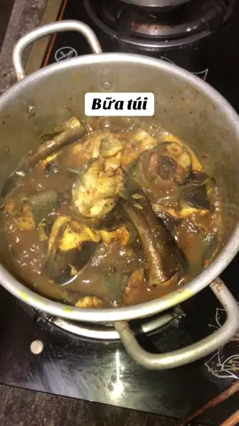 Bữa túi của nhà nghèo như em #xuhuongtiktok #hashtang 