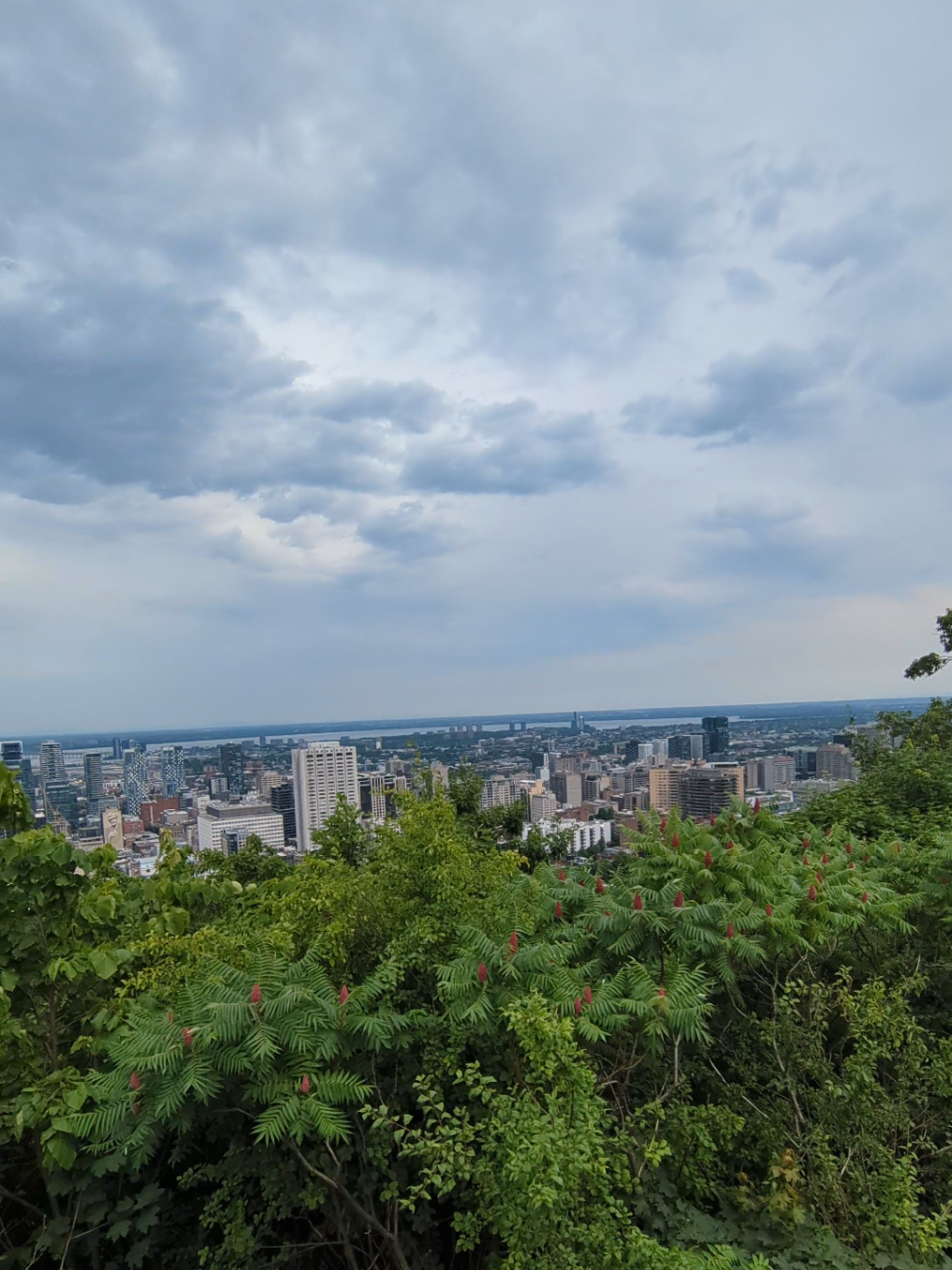 Nous sommes à Montréal  #tdah #vacancesmontreal  #vacancestdah #enfanttdah #auboutdumonde #mamanorganisee 