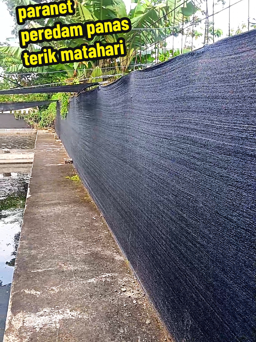Bagian44 Paranet peredam panas terik matahari #paranet #peredampanasmatahari #hujan #panas #tahansuhutinggi #berkebun #cuantanpabatas✅ 