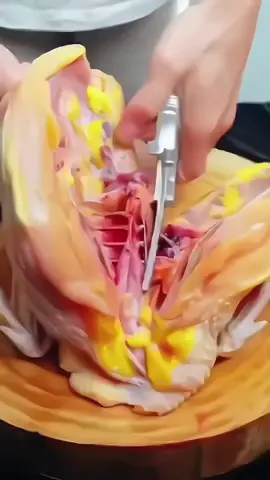 The exquisite kitchen needs a strong German chicken bone scissors, which is sharp and solid, clean and hygienic, and the handle is comfortable and durable to help you show your skills in the kitchen.#chickenbonescissors #kitchenscissors#goodthingsinthekitchen#practicalgoodthings#tiktok #fyp #foryou #malaysia 
