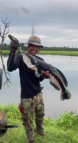 ត្រូវថាទេ ចំពោះត្រីបណ្តើរកូន ❤️️🙏 #សច្ចៈអ្នកបបក់ត្រី 