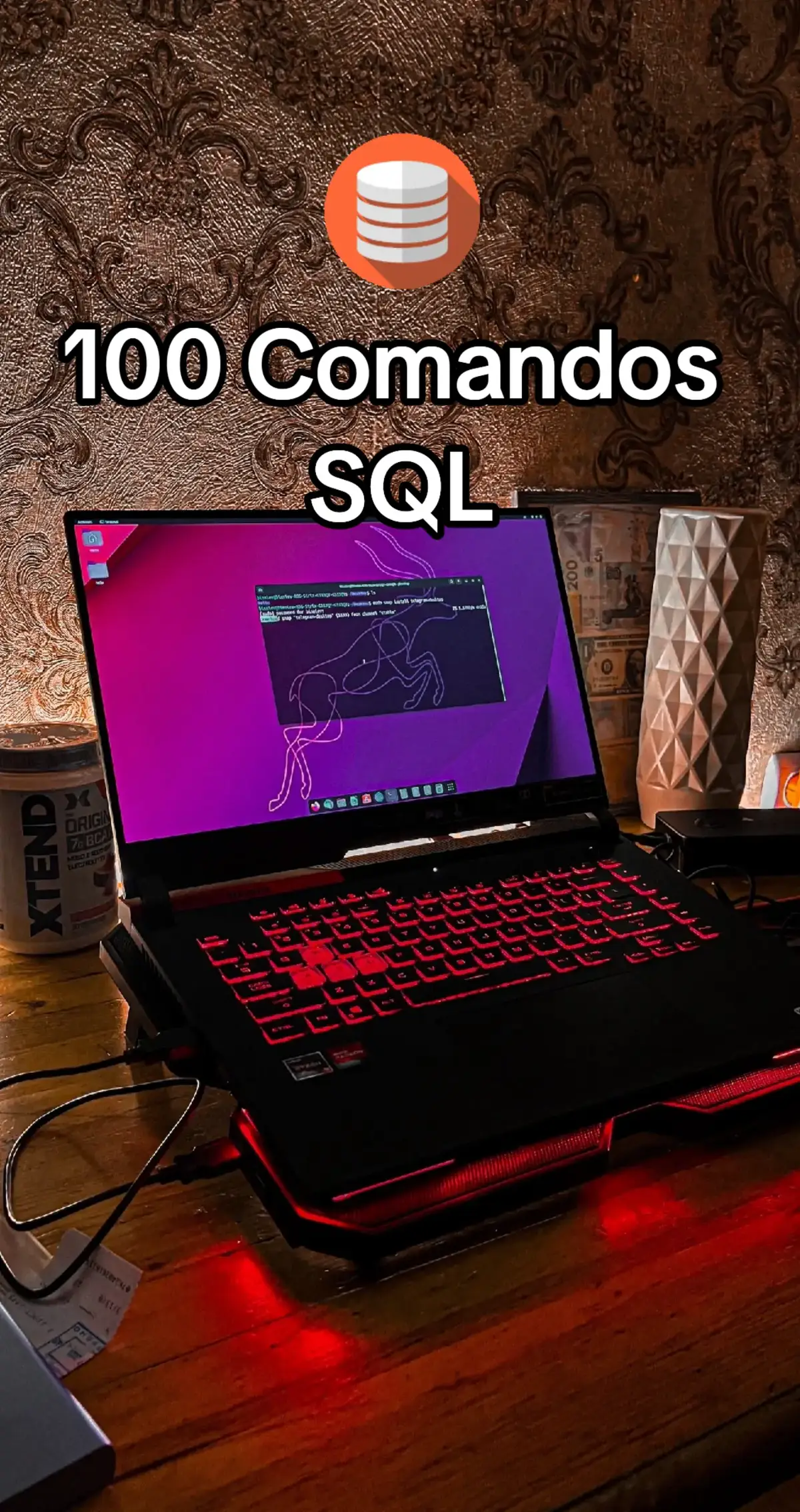 #comandos #SQL #coding #100 #programacion #basededatos #sistemas #informatica #select #insert #join #inport #create #index 