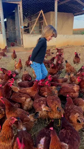 A paixão dela por galinhas! ❤️🐓.           #animal #amor #fazenda #galinha #amizade 
