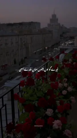 Ve haaniyaan♥️#lyrics_songs #bestvideo #videoviral #foryoupage❤️❤️ #song 