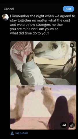 ستوريات تلقرام بايو #fyp #4upage 