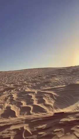 #tozeur🌴🌴🌴🌴🌵 #توزر_البية #عنق الجمل#صحراء توزر🌴🐫🫘