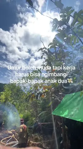 💸💸💸#tambangemas #kuli #kulipenyedotan #sedot #dompengemas 