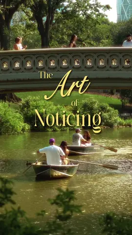 The art of noticing 🛶  Noticing the oars gliding gently across the water. The way the sunlight filters through the trees and dances in the lake. A couple volleying a ball back and forth, not keeping score. It’s not always about the big moments. Sometimes it’s about being still long enough to see the small ones, because the world doesn’t need to shout to be beautiful. You just have to look. Camera: Sony a7iv @Sony Alpha  Edited on Premiere Pro #theartofnoticing #theartofslowliving #cinematic #sonyalpha
