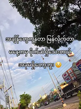 ချေးကြပါအုံး#foryou #fyp #fypage #tinkyou4bdo #myatthukyaw 