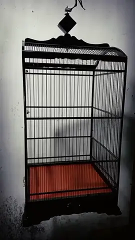 ABS SANGKAR sangkar khosan  ✓ukuran 40cm x40cm ✓ fiber 1,5mm ✓hitam gloss Lokasi Pilangsari ,sragen  wa 085809009074 #ABSSANGKAR  #abssangkarsragen  #ABSsangkar  #sangkatkhosan  #cendetmaniaindonesia  #sangkarburung  #sangkarburungmurah #CapCut 