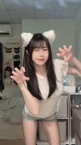 今日份喵💗 #fyp 