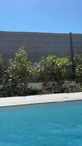 #summertime #villa #suddefrance #lgm #grauduroi #piscine 