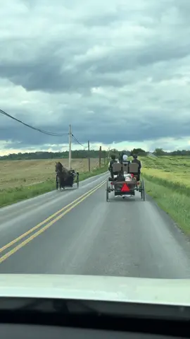 Pennsylvania is home to a large and well known Amish Community, particularly in Lancaster County. Visiting Amish Village gives visitors a glimpse into their unique lifestyle. The Amish originally came from Europe in the late 17th century. They emigrated to North America, particularly to Pennsylvania in the 18th century to escape religious persecution in Europe. Pennsylvania, founded by William Penn, offered religious freedom for these groups. Today the vast majority of Amish live in the United States and Canada with very few remaining in Europe. #amish #amishlife #amishparadise #amishvillage #lancaster #pennsylvania #simplelife #Lifestyle #amishcommunity #homestead #homesteading #traditional #life #amishcountry #culturalexperience #culturalexperience 