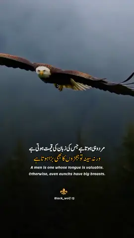 A men is one whose tongue is valuable. otherwise, even eunchs have big breasts....😈🤬⚜️  #foryou #foryoupage #motivation #fryp #motivacional #urdupoetry  #motivationalquote #tiktokviral #motivation #foryoupage #dailymotivation #londonforyou #bodybuildingmotivation #artforyourhome #intags #motivationalquotesforstudents #motivationalquotesdaily #motivationalquotes #studymotivation #motivationalquoteshindi #tuesdaymotivation #weightlossmotivation #tiktokviralindonesia #foryourpage #motivationalspeaker #motivationquotes #justforyou #motivationalquotesaboutlife #thankyouforyourservice #gymmotivation #foryou #foryoupage💙tranding❤️❤️❤️ #instaviralpost #fitnessmotivation #doitforyourself