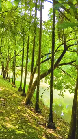 ভিডিও ভালো লাগলে আইডি থেকে ঘুরে আসুন